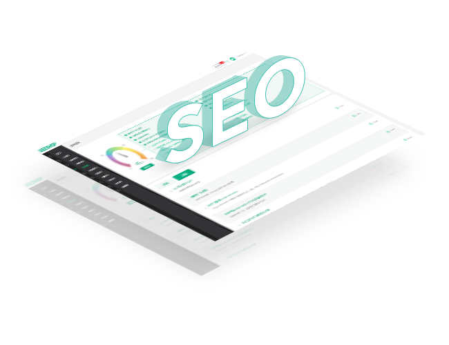 行業(yè)趨勢(shì)分析：2024年網(wǎng)站優(yōu)化策略的新動(dòng)向